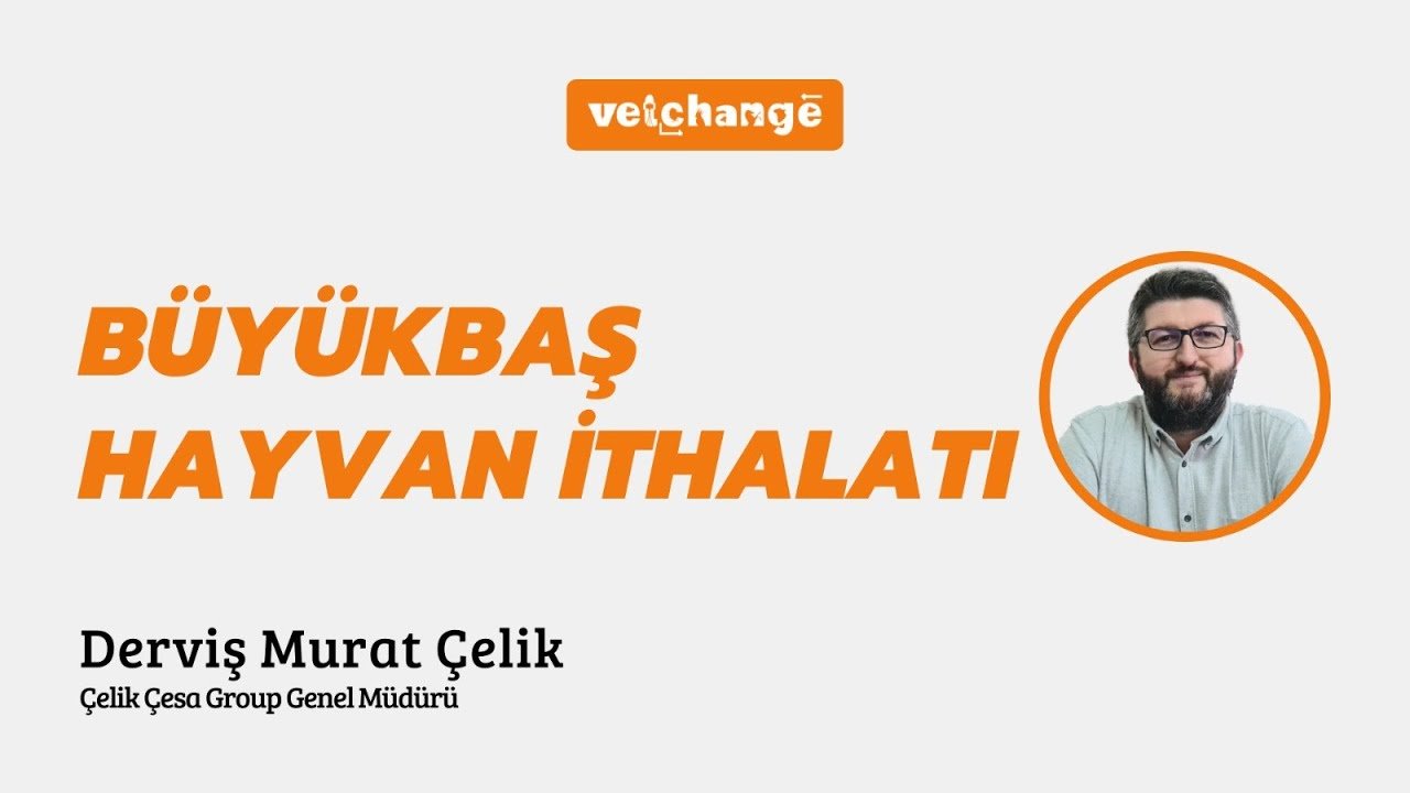 Büyükbaş Hayvan İthalatı-Derviş Murat Çelik
